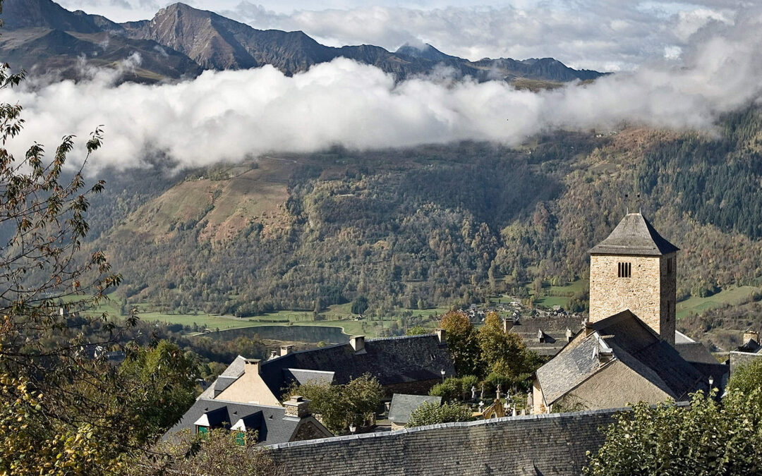 ode mont41